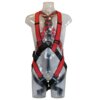 Fall Arrest Harness POWERTEX P0030