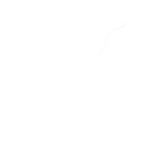 CC 04