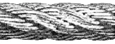 asset_image
